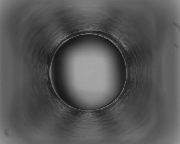 X0000091861265200709191109