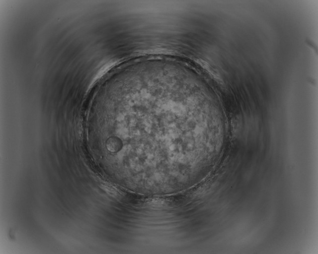 X0000091861266200709191109