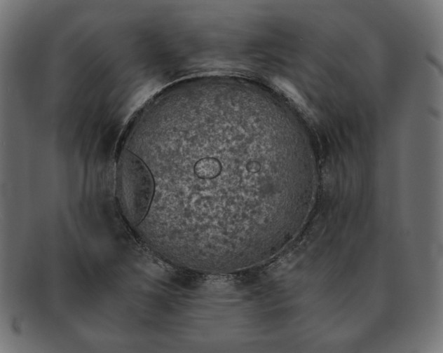 X0000091861267200709191109