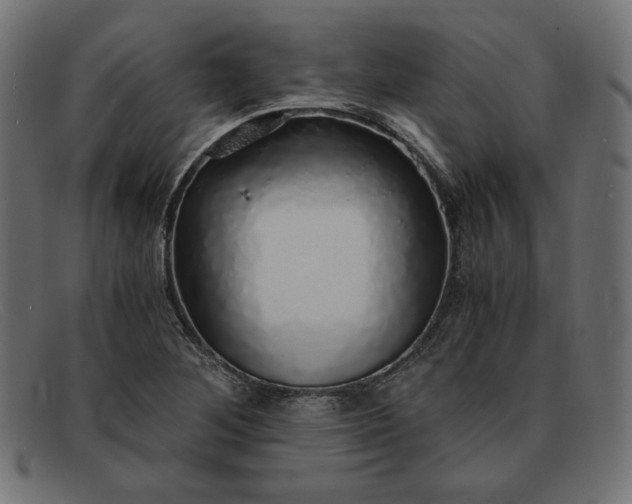 X0000091861268200709191109