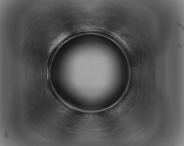 X0000091861269200709191109