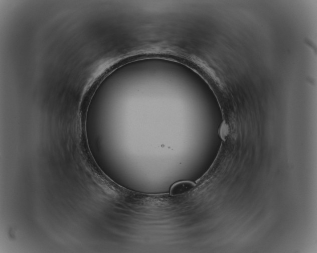 X0000091861270200709191109