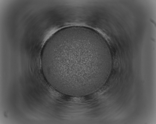 X0000091861271200709191109