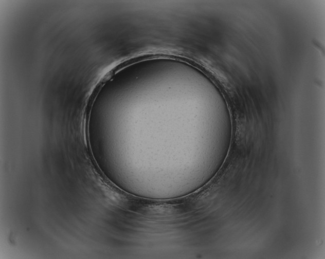 X0000091861272200709191109