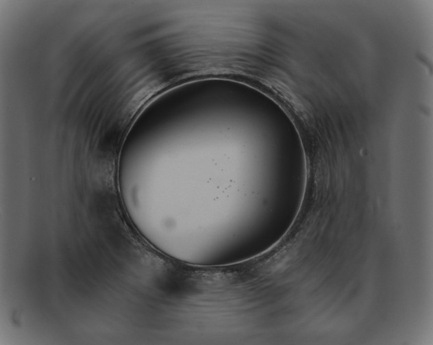 X0000091861273200709191109