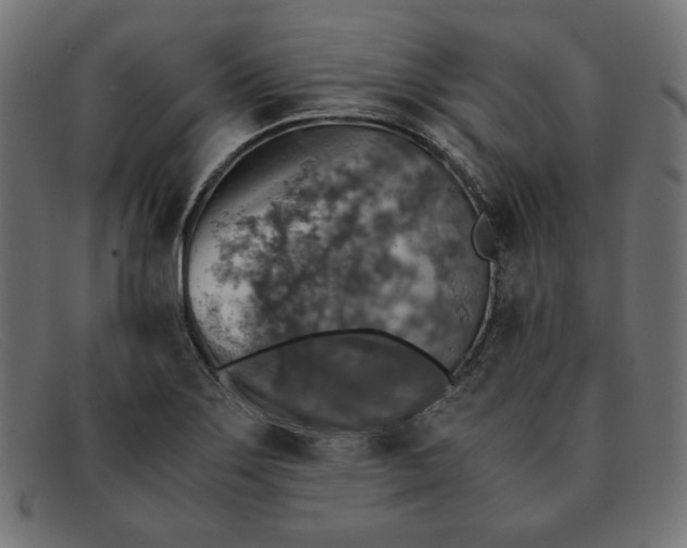 X0000091861275200709191109