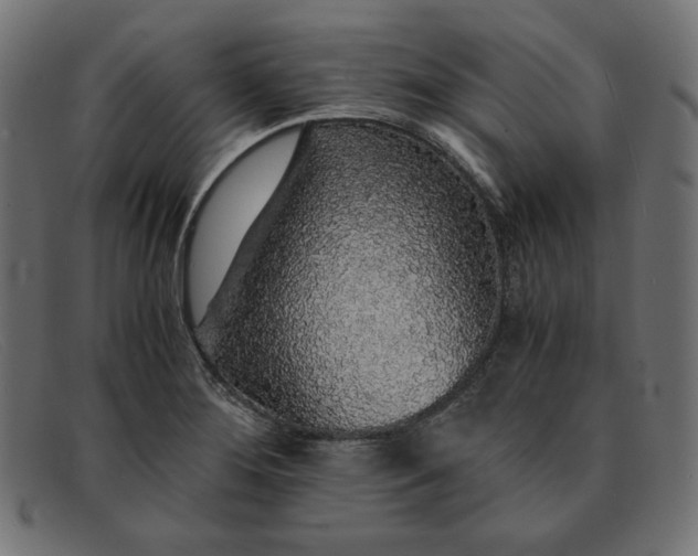 X0000091861276200709191109