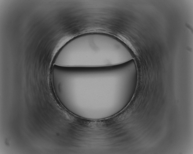 X0000091861277200709191109