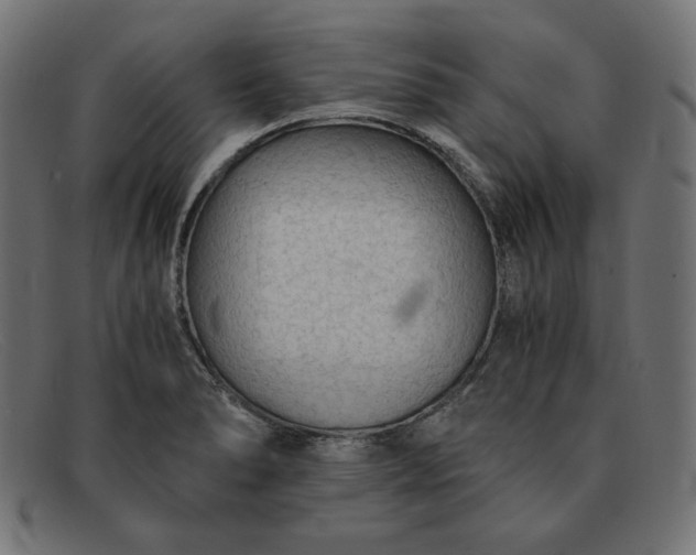 X0000091861278200709191109