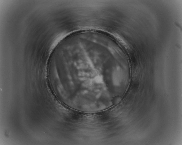 X0000091861279200709191109