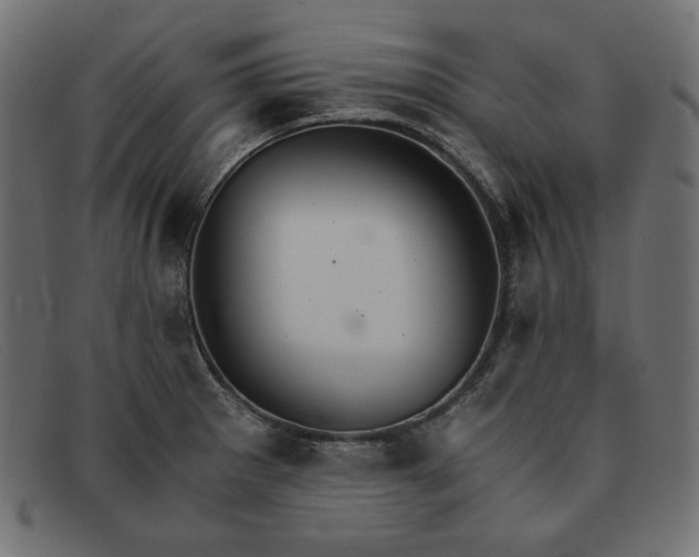 X0000091861281200709191109