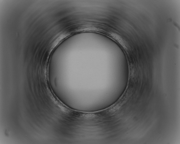 X0000091861282200709191109