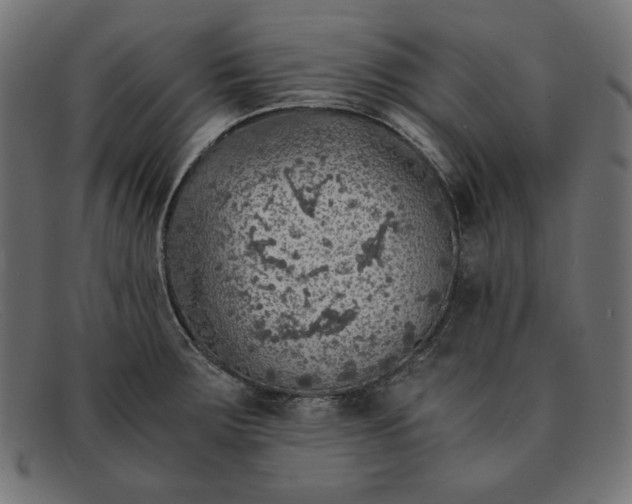 X0000091861283200709191109