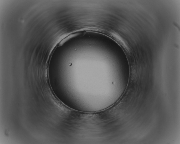 X0000091861284200709191109