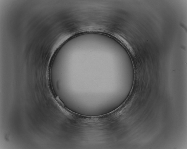 X0000091861285200709191109