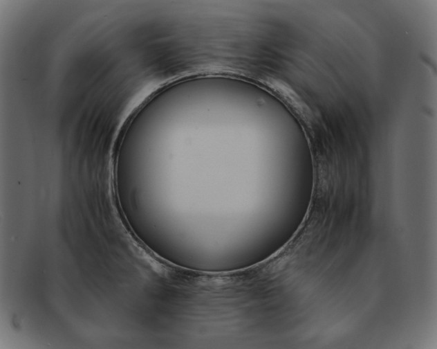 X0000091861286200709191109