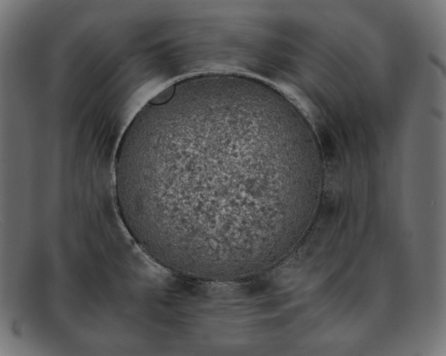 X0000091861287200709191109