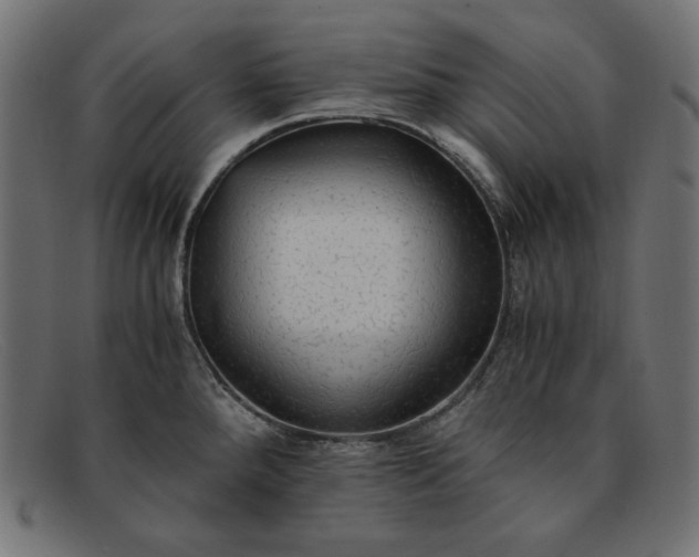 X0000091861288200709191109