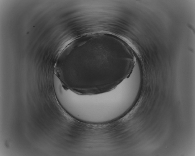 X0000091861289200709191109