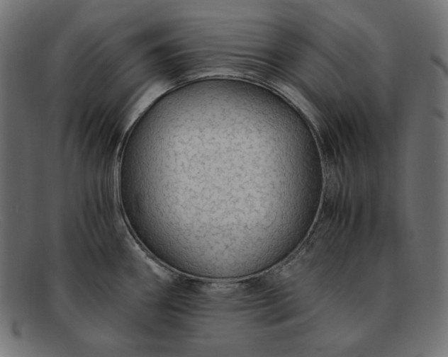 X0000091861290200709191109