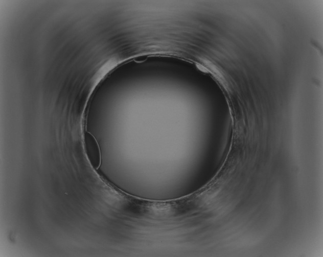 X0000091861291200709191109