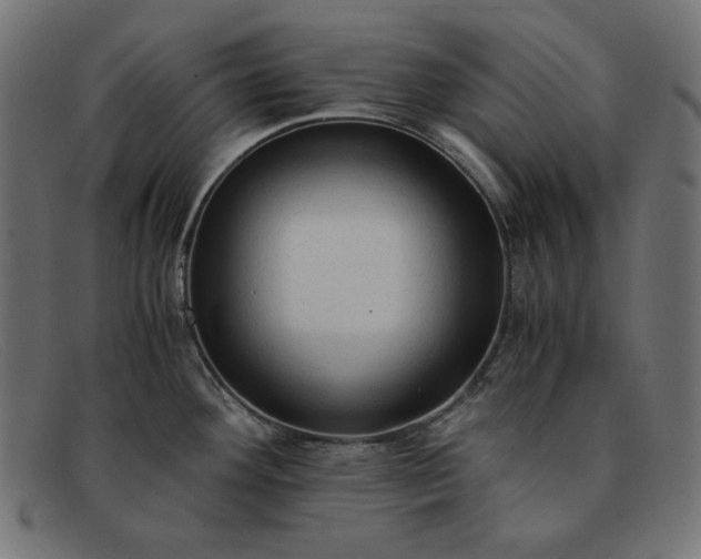 X0000091861292200709191109