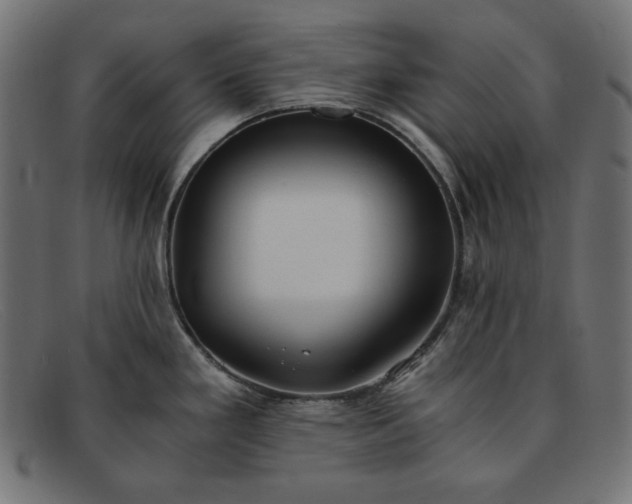 X0000091861293200709191109