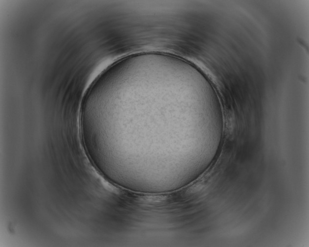 X0000091861294200709191109