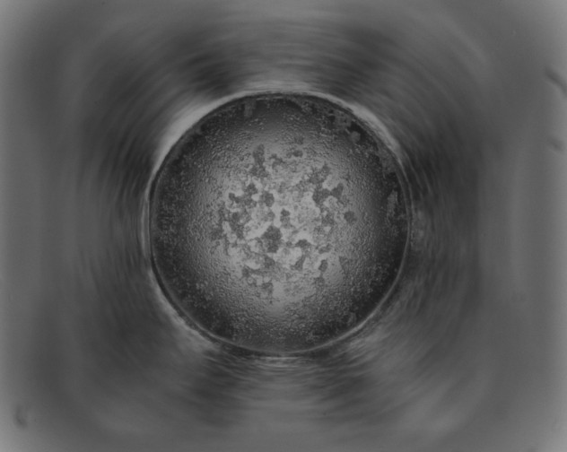 X0000091861295200709191109