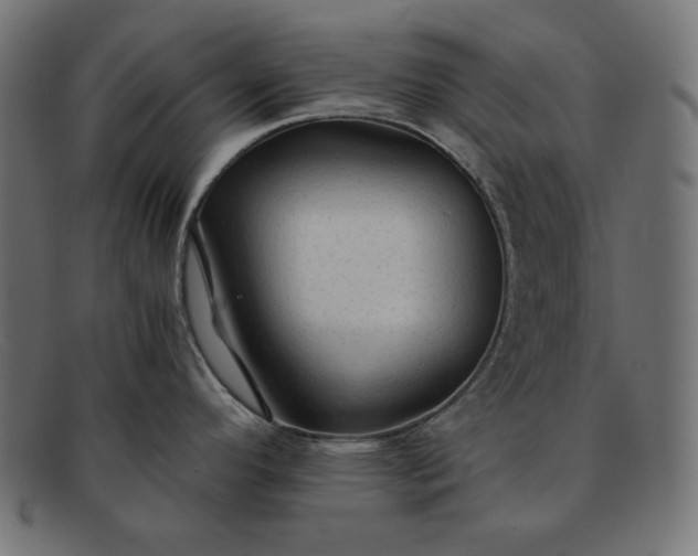 X0000091861296200709191109