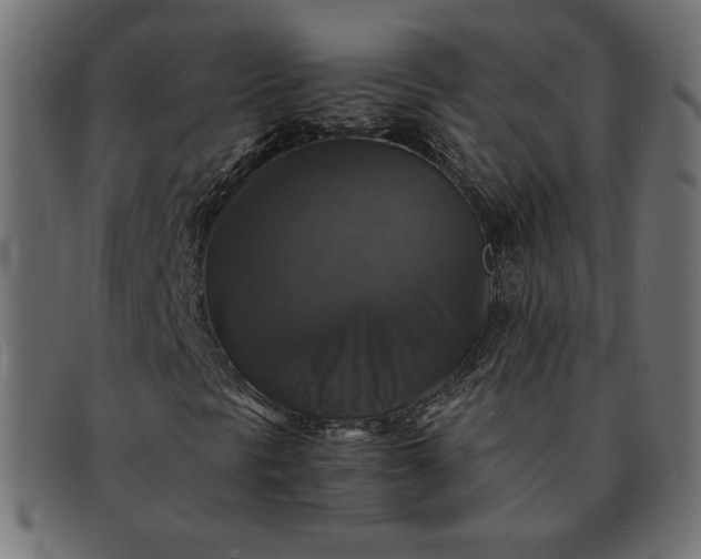 X0000091861297200709191108