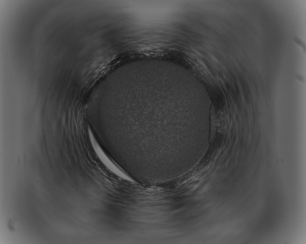 X0000091861298200709191108