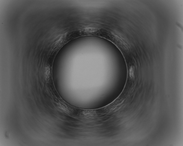 X0000091861299200709191108