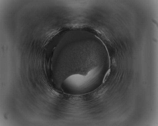 X0000091861300200709191108