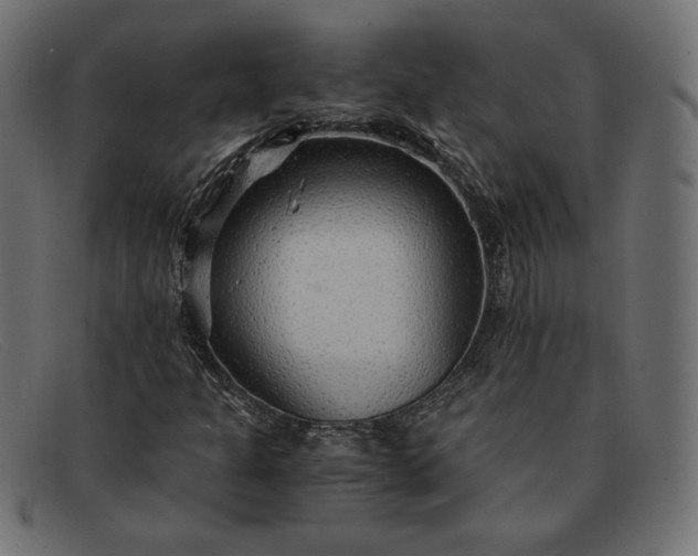 X0000091861301200709191108