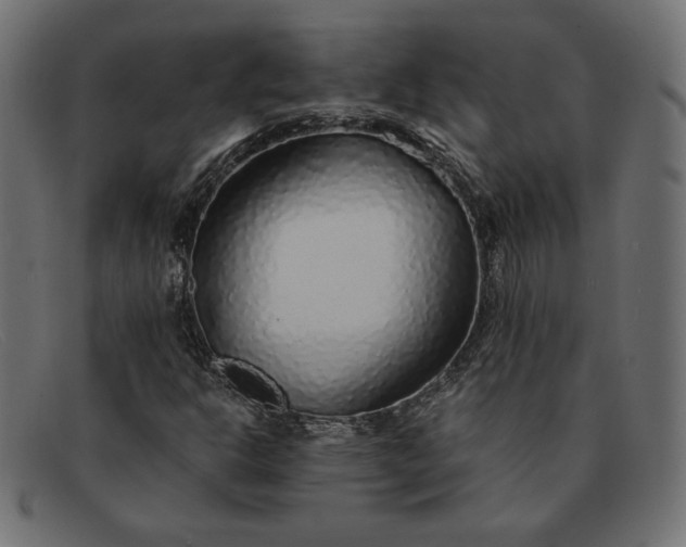 X0000091861302200709191108