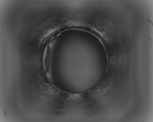 X0000091861303200709191108