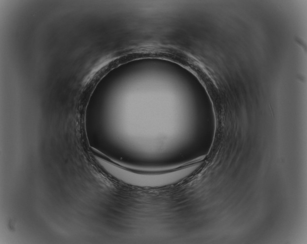 X0000091861304200709191108