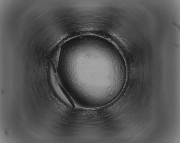 X0000091861305200709191108