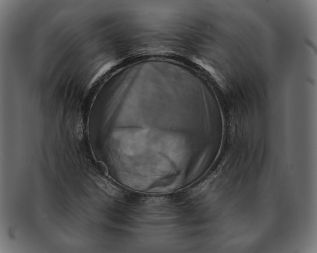 X0000091861306200709191108