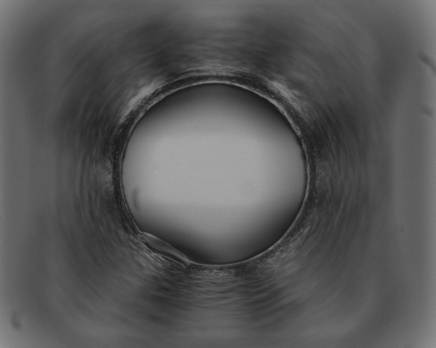 X0000091861307200709191108