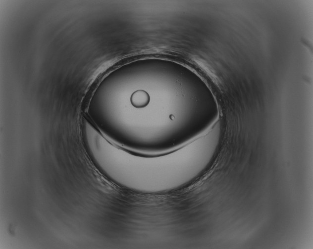 X0000091861308200709191108