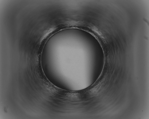 X0000091861309200709191108