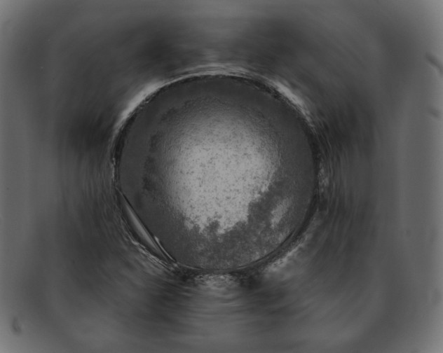 X0000091861310200709191108