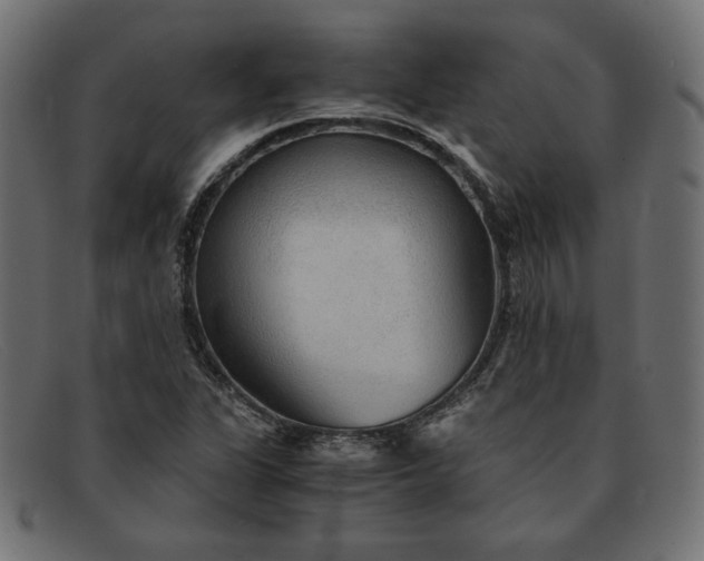 X0000091861311200709191108