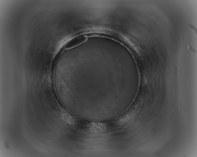 X0000091861312200709191108