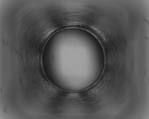 X0000091861313200709191108