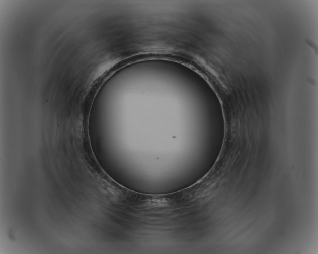 X0000091861315200709191108