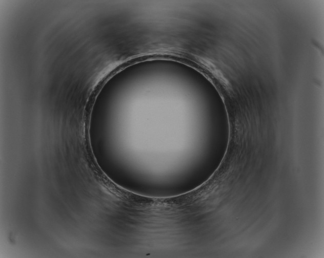 X0000091861316200709191108