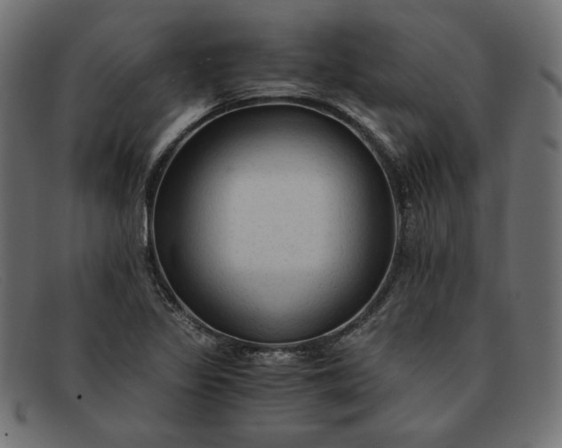 X0000091861317200709191108